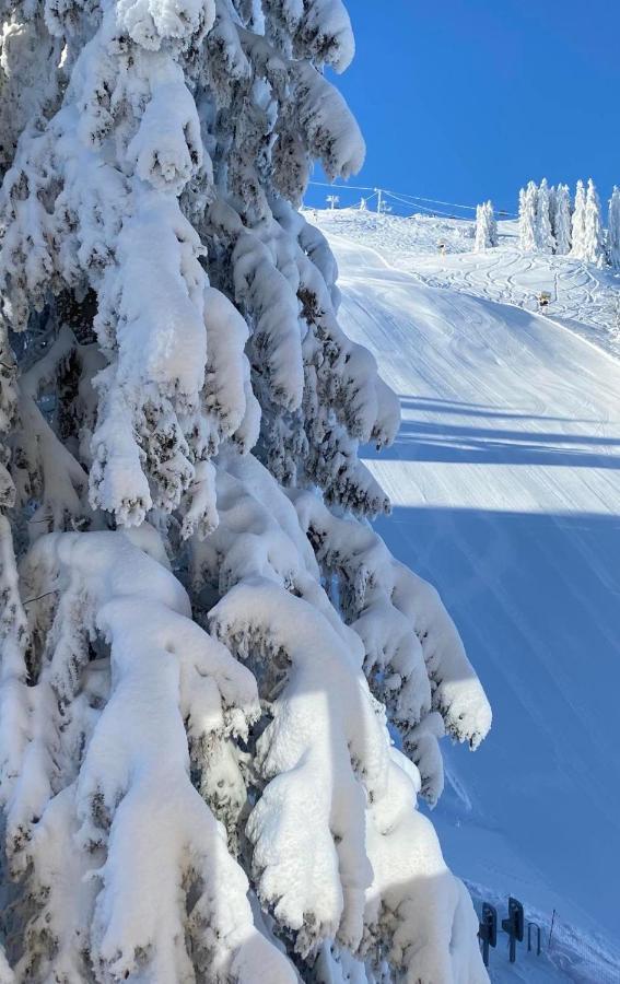 Olimpik House Jahorina Villa Exterior photo